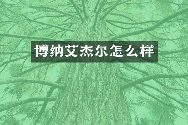 博纳艾杰尔怎么样