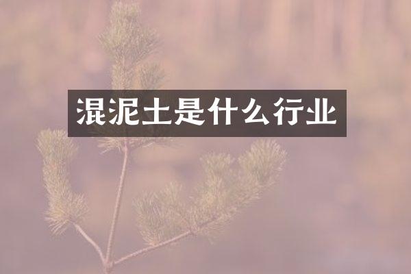 混泥土是什么行业