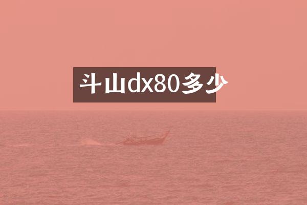 斗山dx80多少