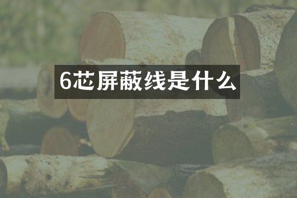 6芯屏蔽线是什么