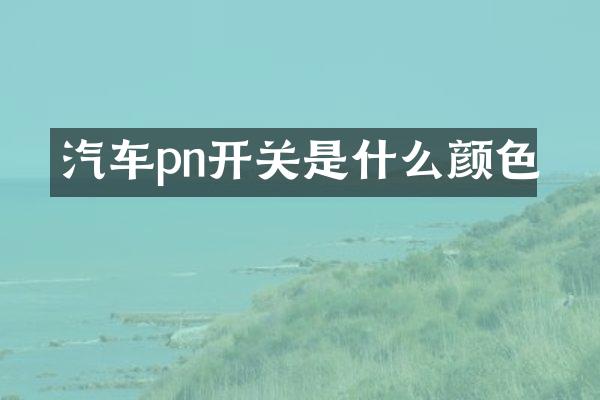 汽车pn开关是什么颜色