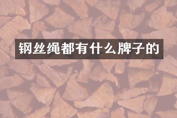 钢丝绳都有什么牌子的