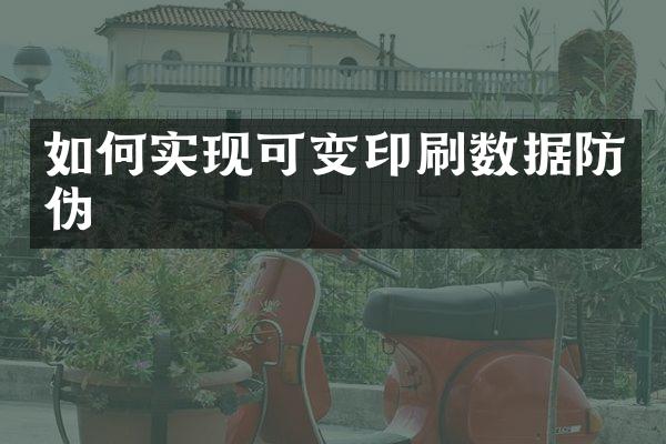 如何实现可变印刷数据防伪