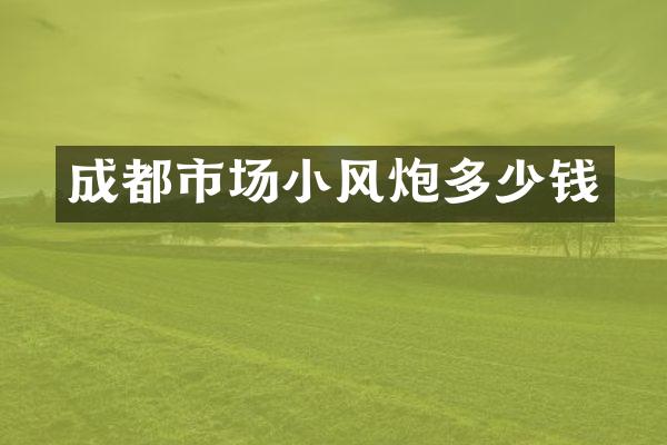 成都市场小风炮多少钱