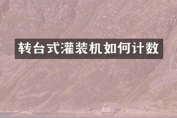 转台式灌装机如何计数