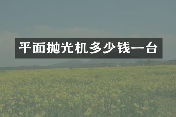 平面抛光机多少钱一台