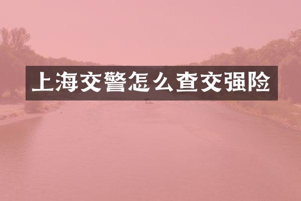 上海交警怎么查交强险