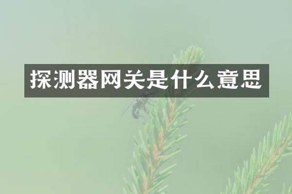 探测器网关是什么意思