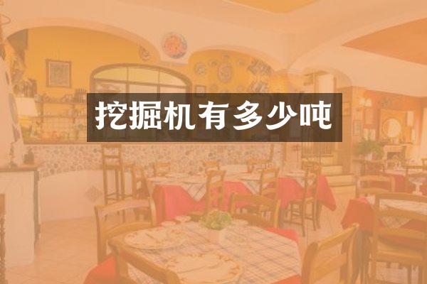 挖掘机有多少吨