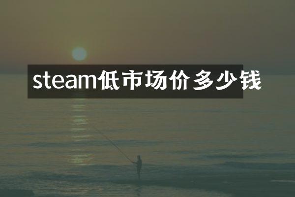 steam低市场价多少钱