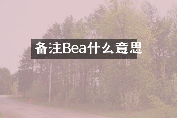 备注Bea什么意思