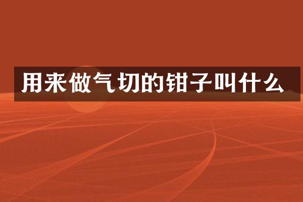 用来做气切的钳子叫什么