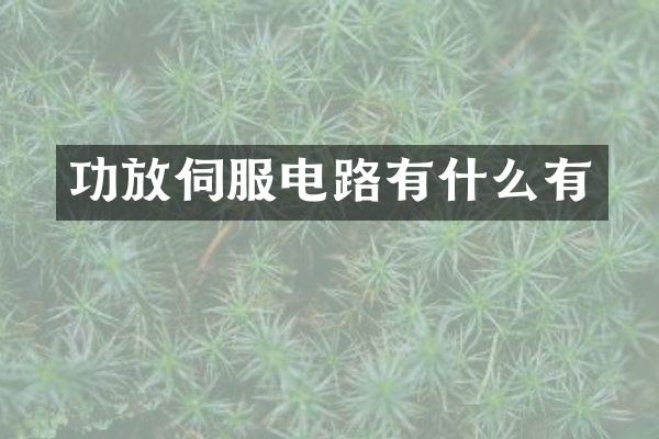 功放伺服电路有什么有