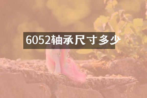 6052轴承尺寸多少