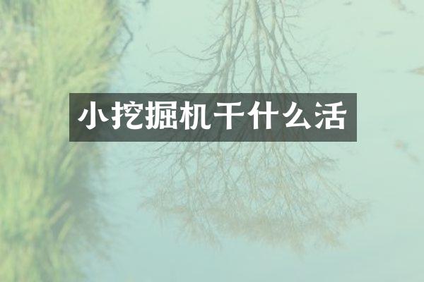 小挖掘机干什么活