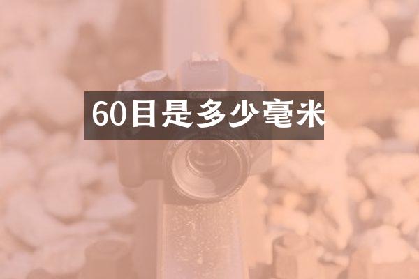 60目是多少毫米