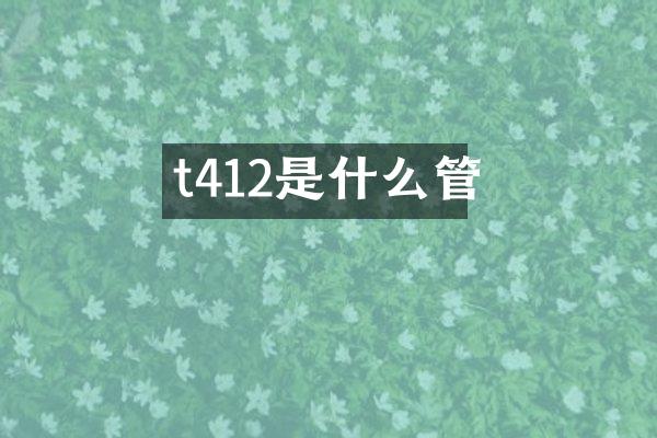 t412是什么管