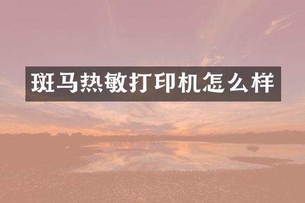 斑马热敏打印机怎么样