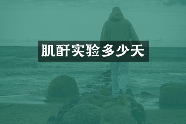 肌酐实验多少天