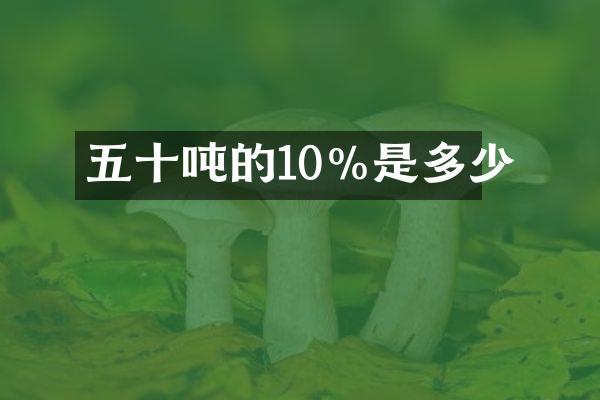 五十吨的10%是多少