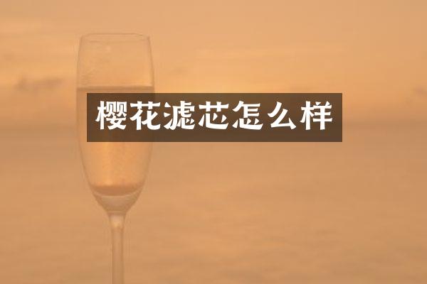 樱花滤芯怎么样