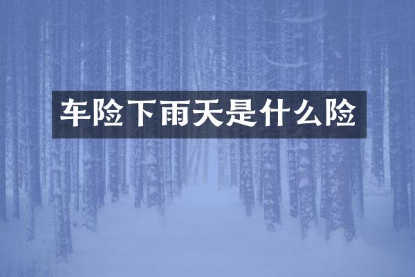 车险下雨天是什么险