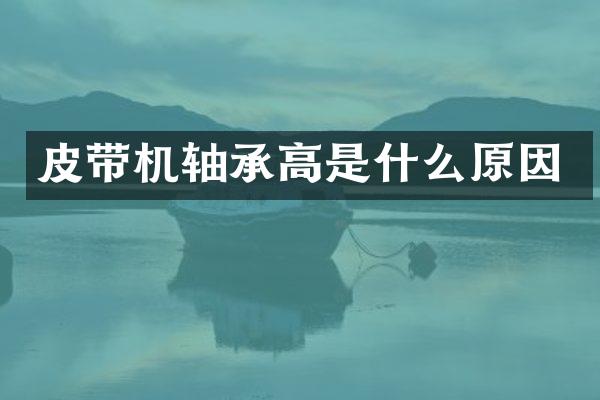 皮带机轴承高是什么原因