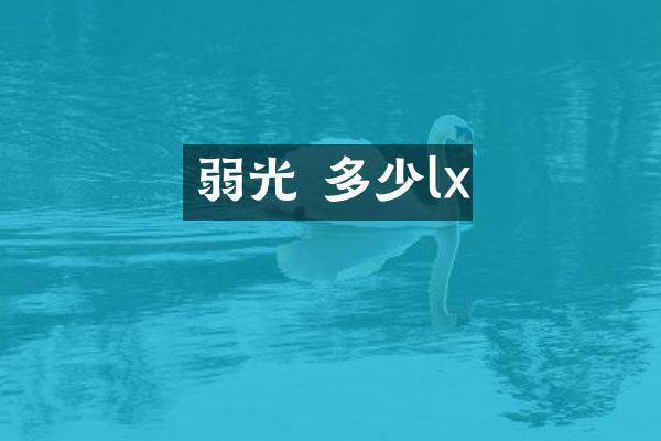 弱光 多少lx