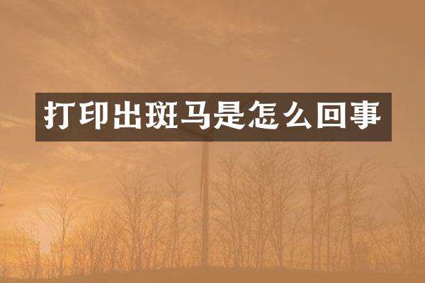 打印出斑马是怎么回事