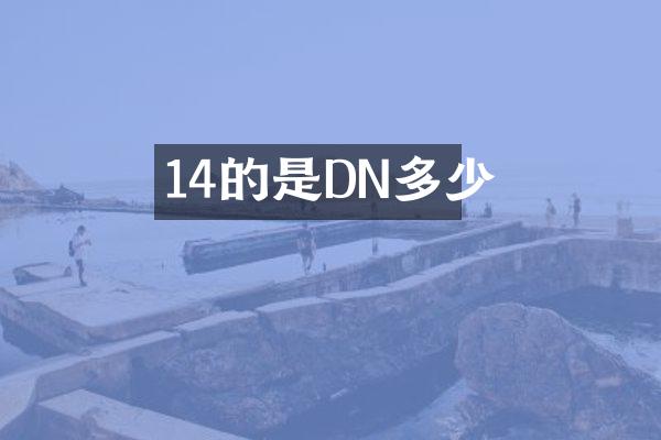 14的是DN多少