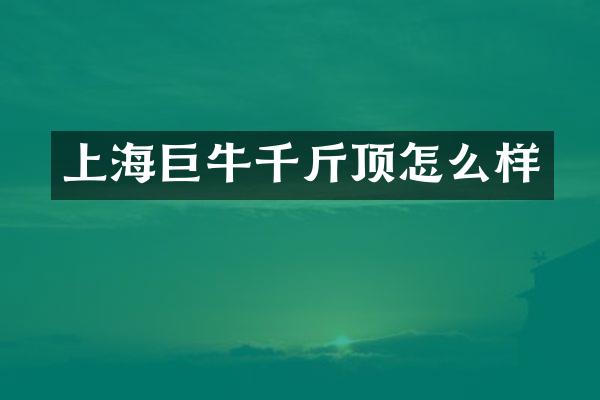 上海巨牛千斤顶怎么样