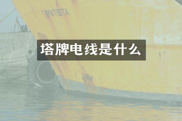 塔牌电线是什么