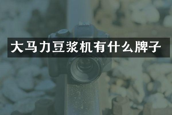 大马力豆浆机有什么牌子