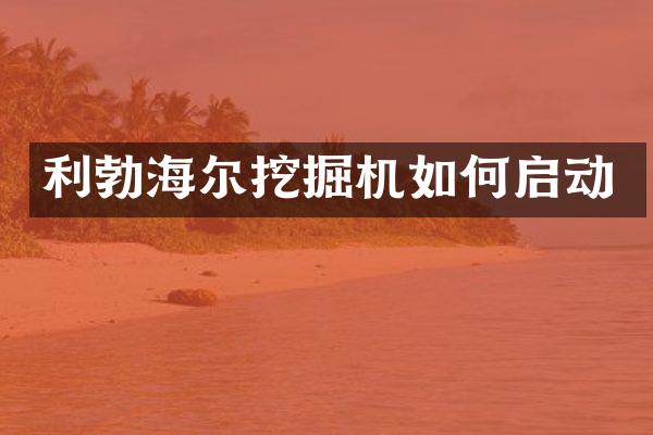 利勃海尔挖掘机如何启动