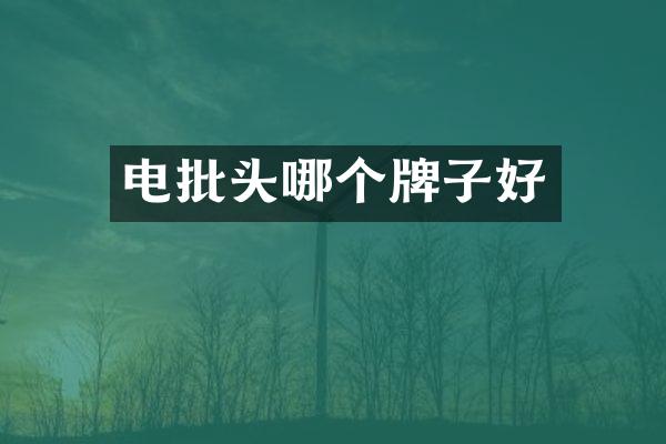 电批头哪个牌子好