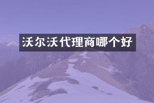 沃尔沃代理商哪个好