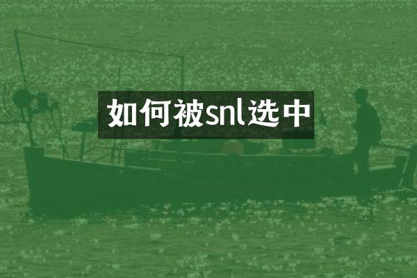 如何被snl选中