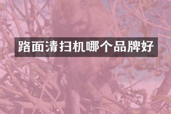 路面清扫机哪个品牌好