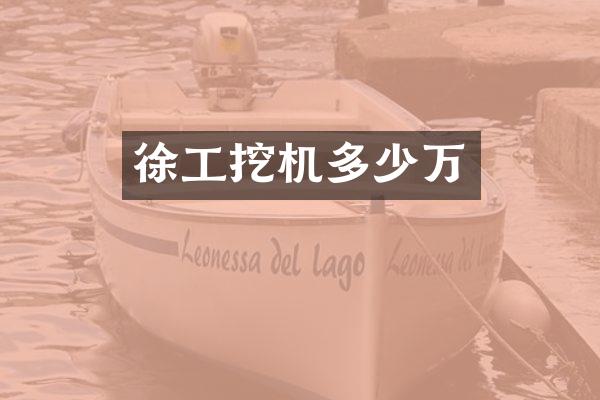 徐工挖机多少万