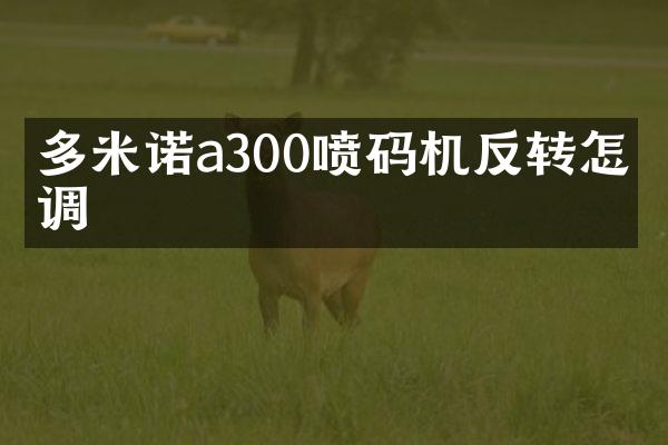 多米诺a300喷码机反转怎么调