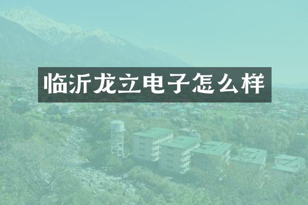 临沂龙立电子怎么样