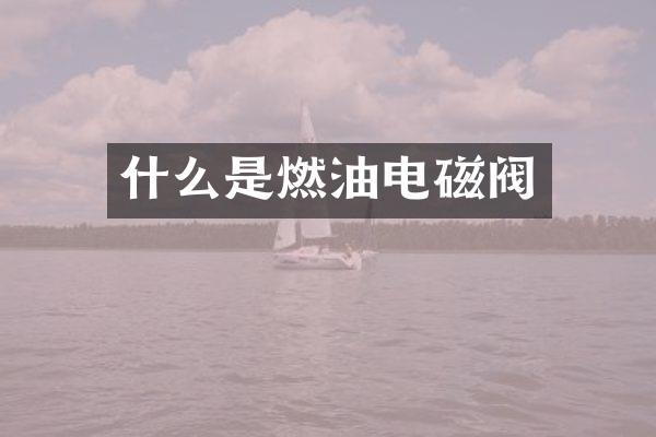 什么是燃油电磁阀