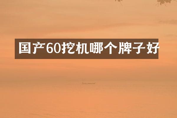 国产60挖机哪个牌子好