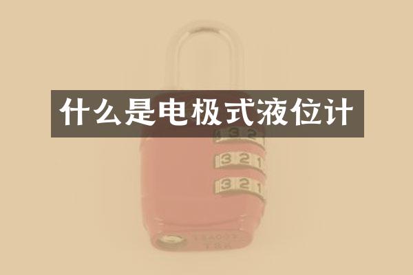 什么是电极式液位计