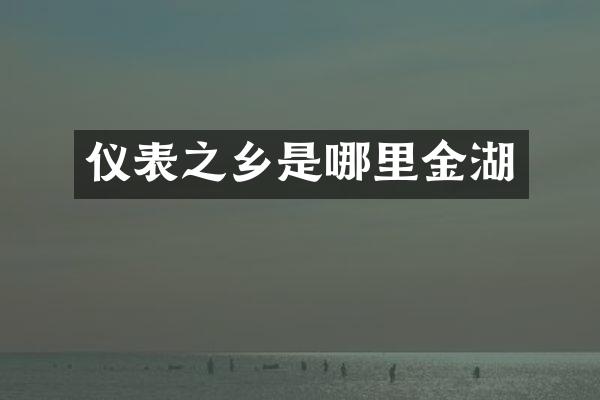仪表之乡是哪里金湖