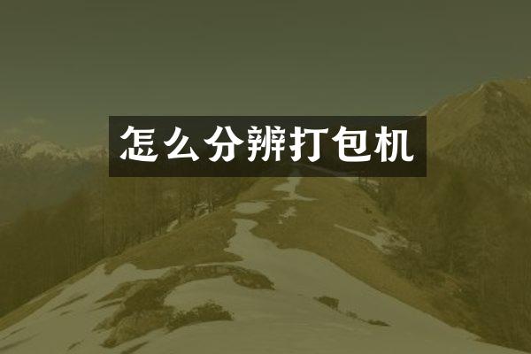 怎么分辨打包机