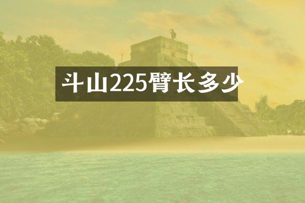 斗山225臂长多少