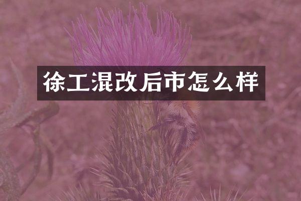 徐工混改后市怎么样