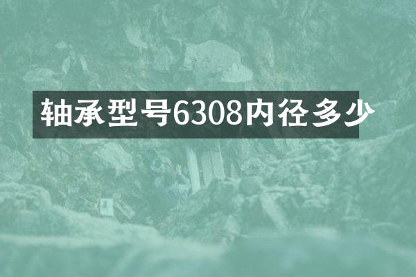 轴承型号6308内径多少