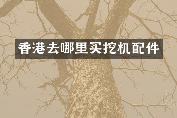 香港去哪里买挖机配件